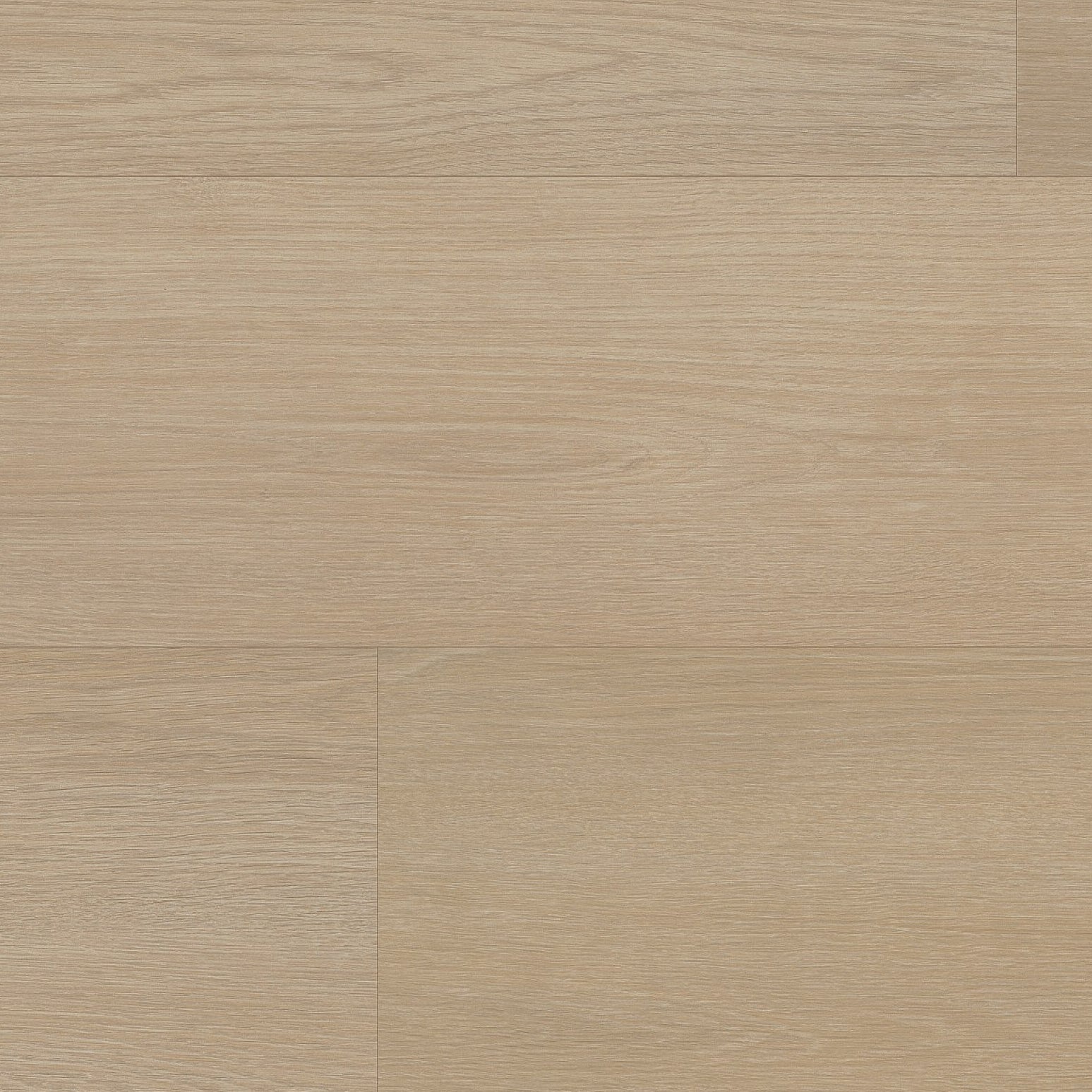 Cavalley Beige