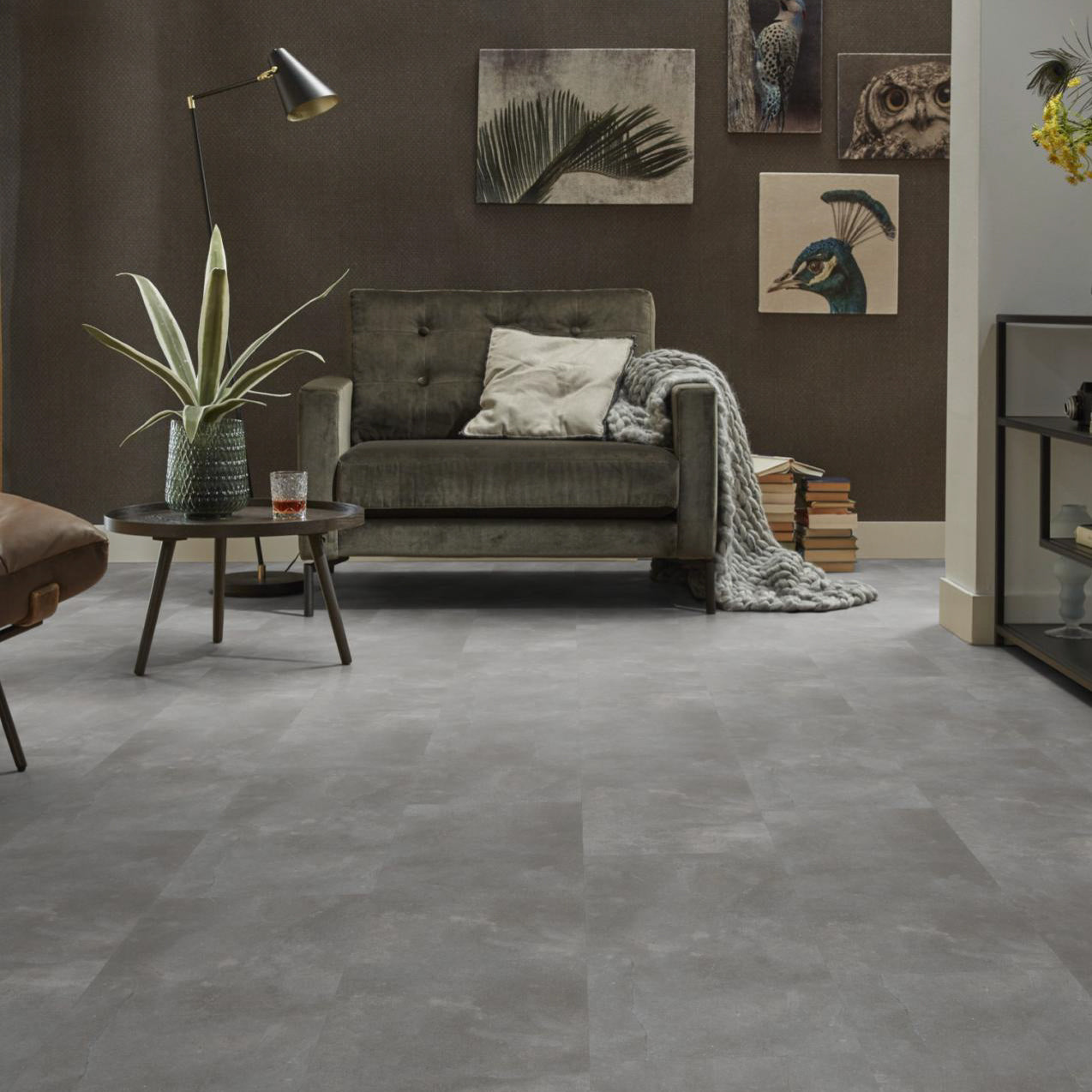 Piazzo SRC Click Dark Grey