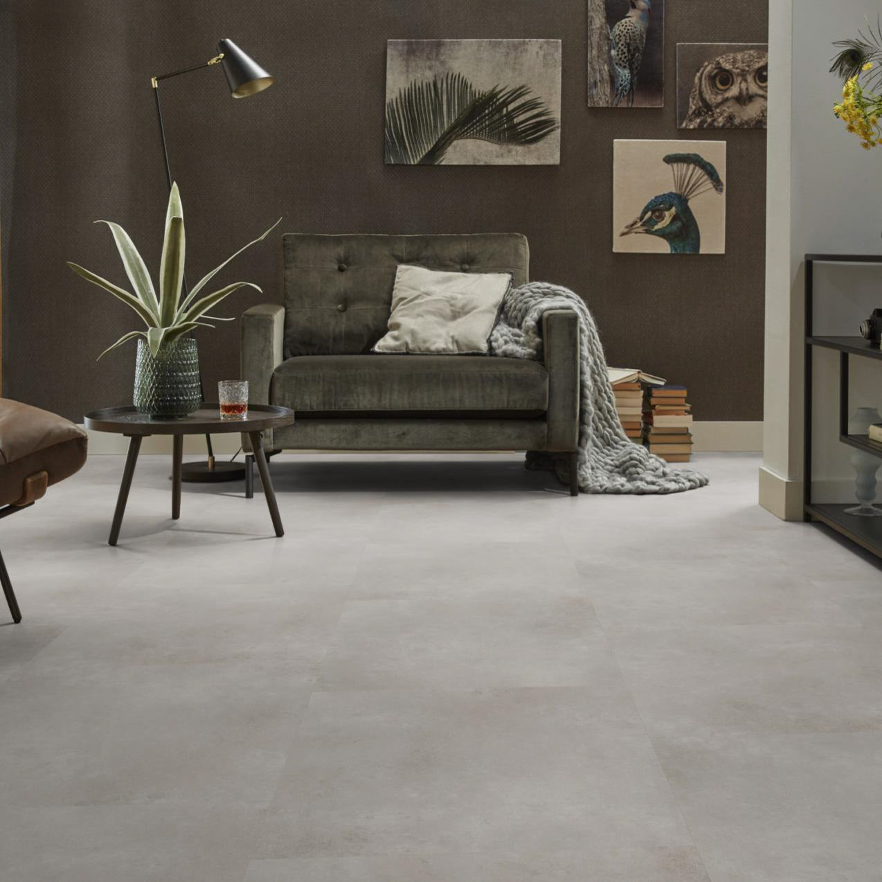Sarino XL Grey Dryback