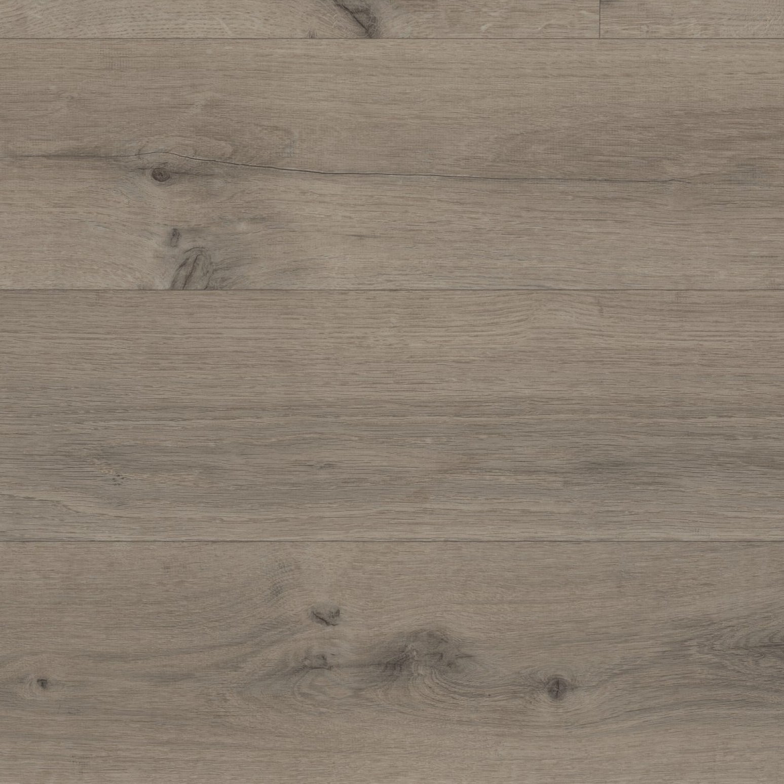 Calandro Eiken grijs 5251