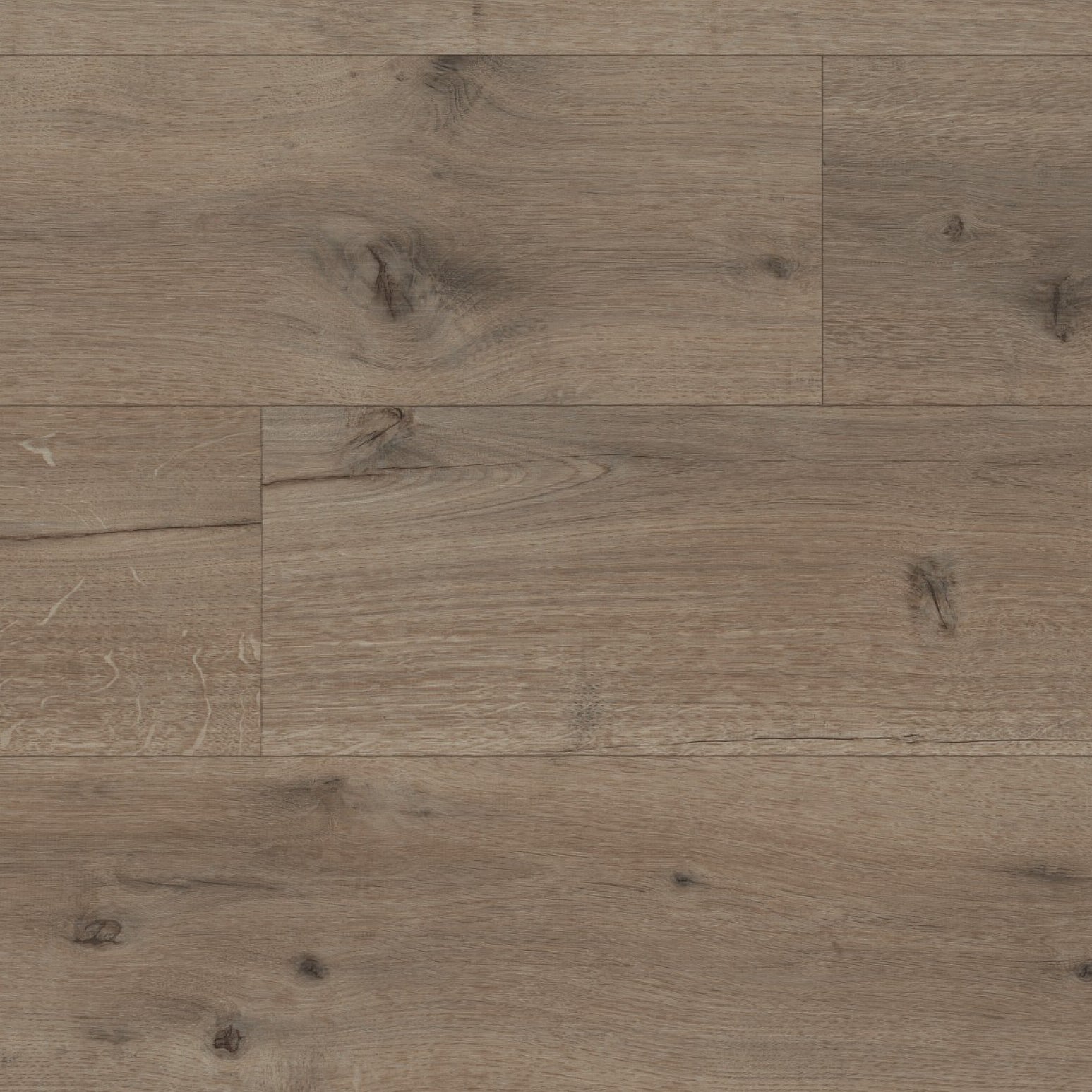 Calandro Eiken grijsbruin 5253