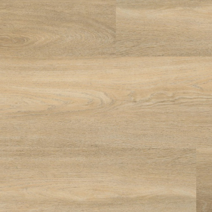 Avanto Beige Dryback