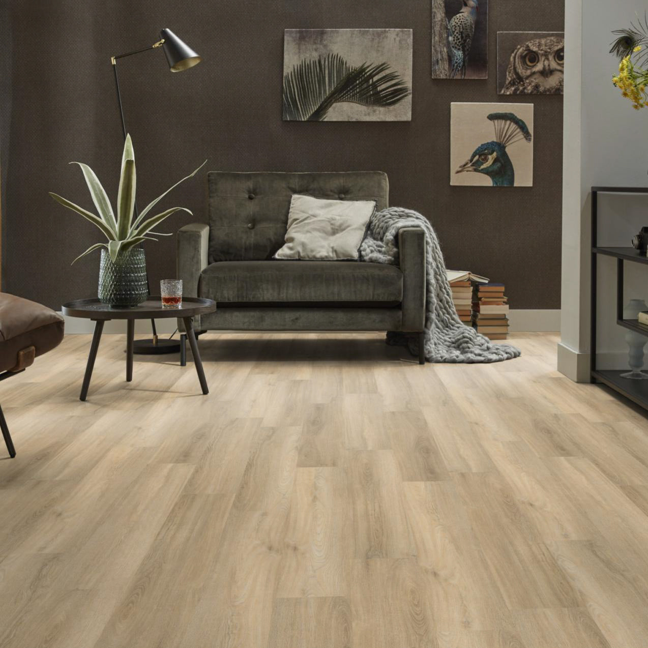 Avanto Beige Dryback