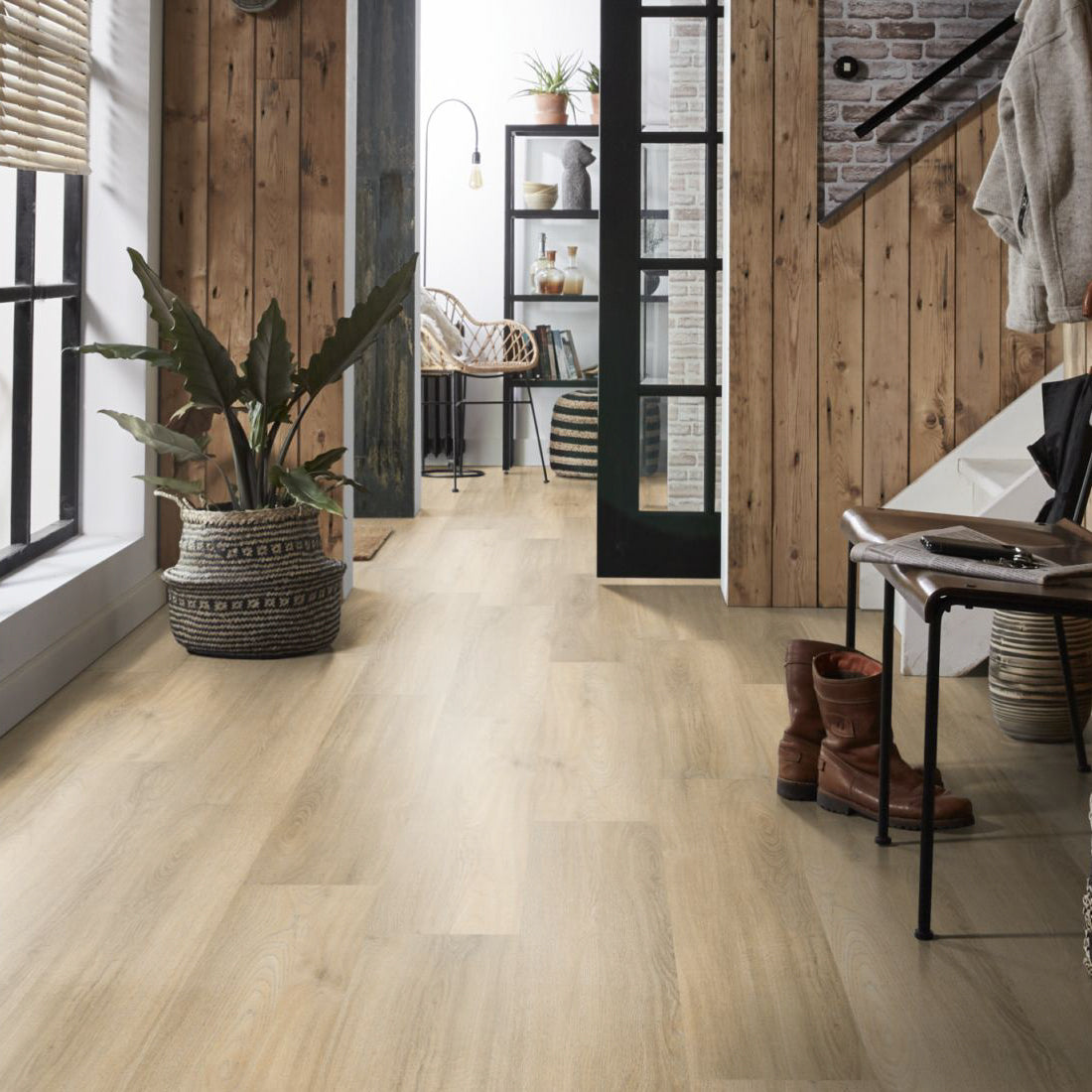 Avanto Beige Dryback