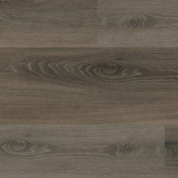 Avanto Dark Grey Dryback