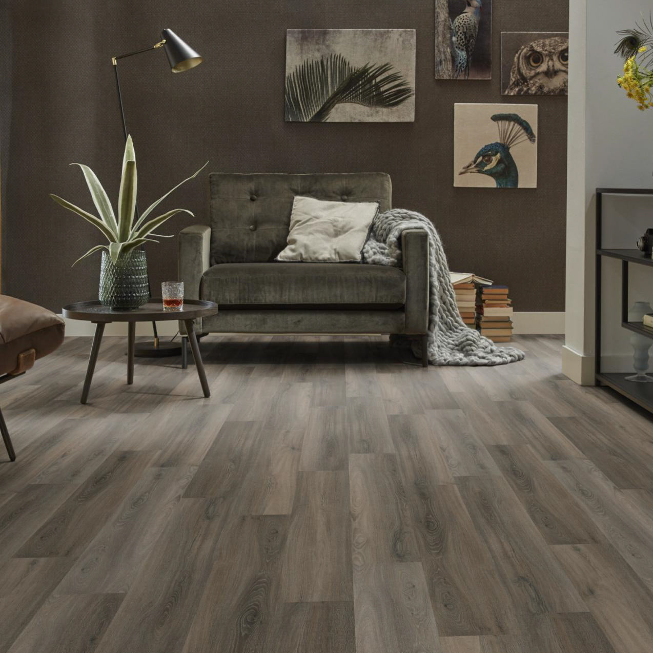 Avanto Dark Grey Dryback