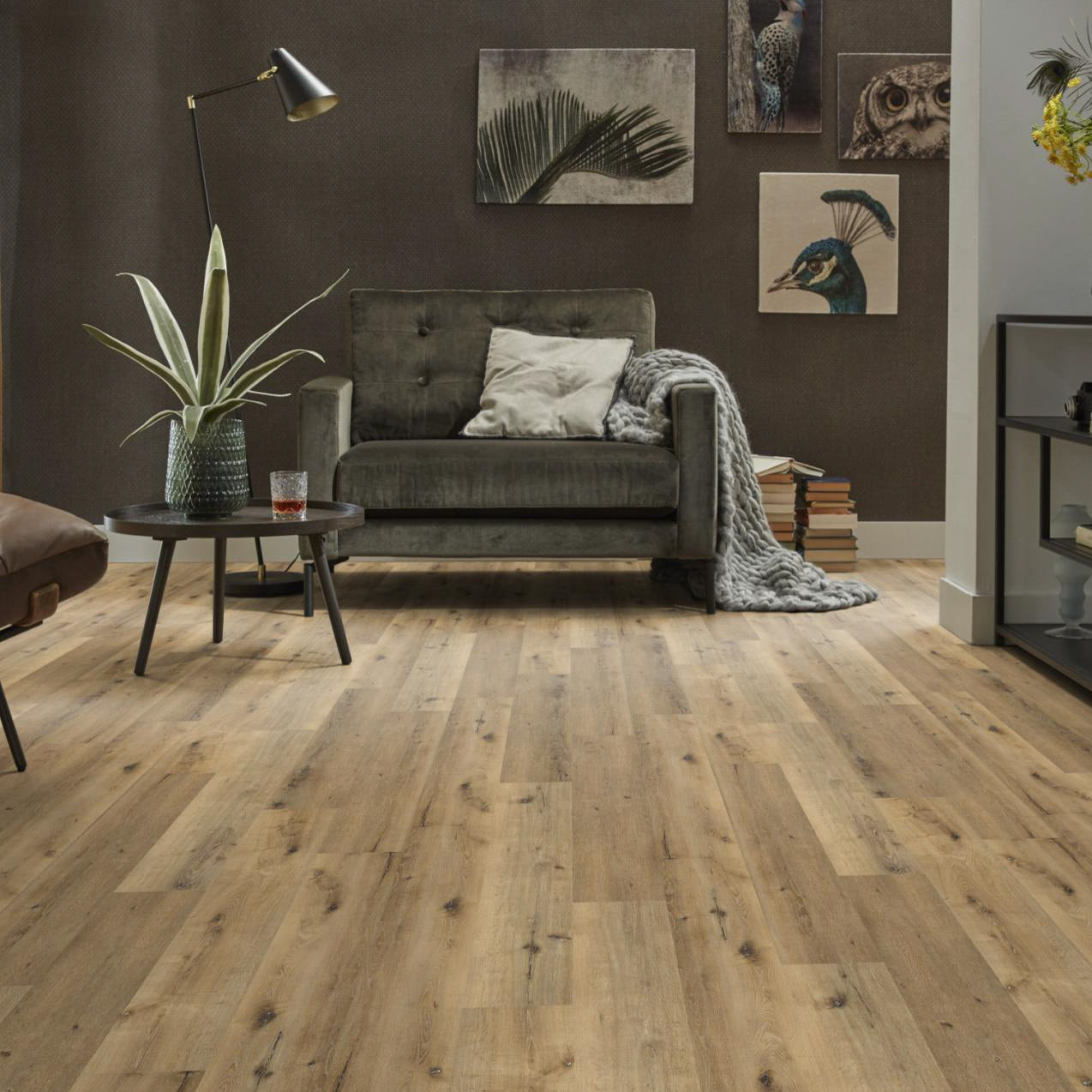 Essenzo Dark Oak Dryback