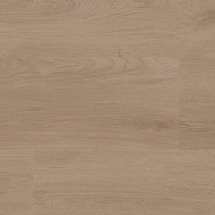 Navaro Dark Oak Dryback