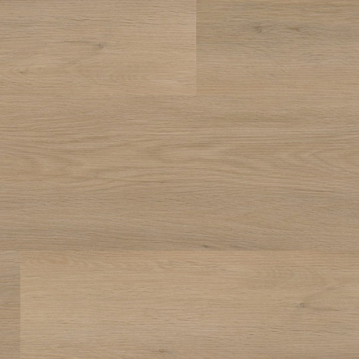 Sentima Beige Dryback