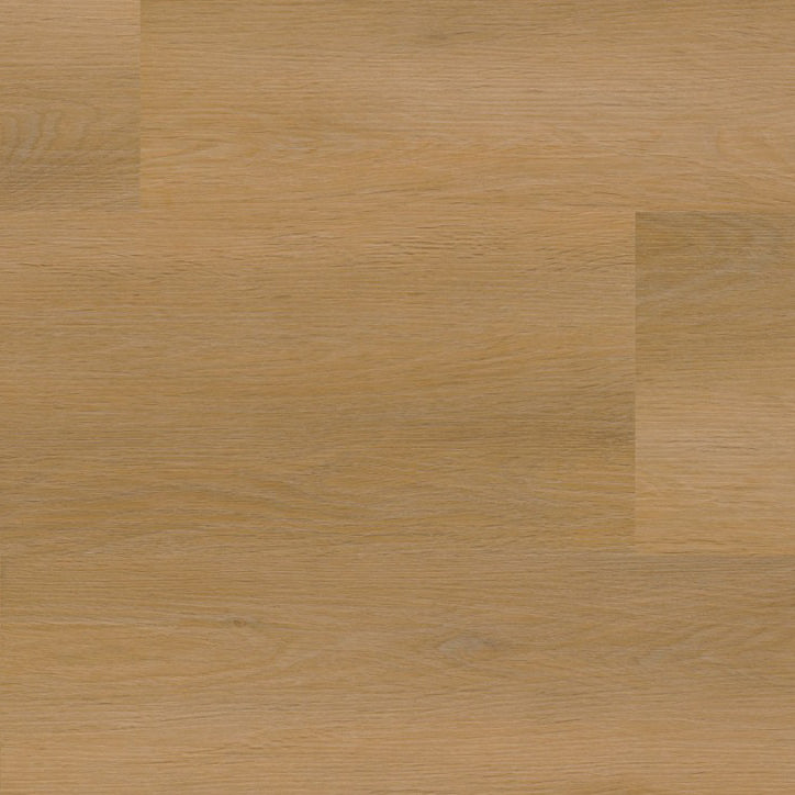 Sentima Dark Oak Dryback