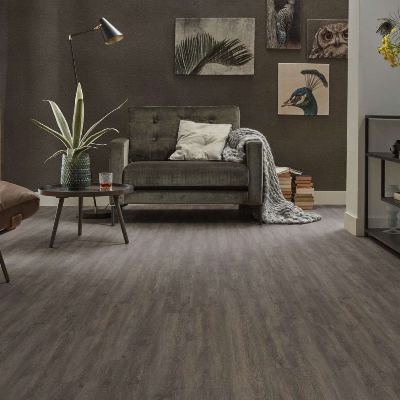 Supremo Dark Grey Dryback