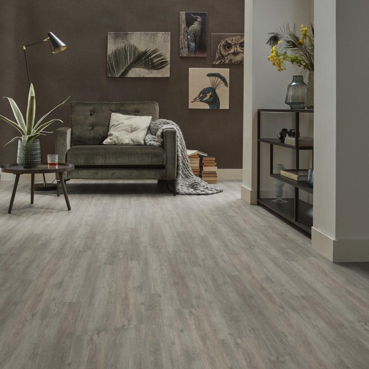 Supremo Grey Dryback