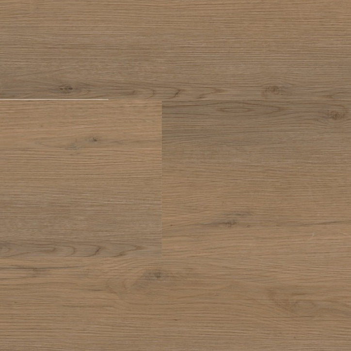 Venera Dark Oak Dryback