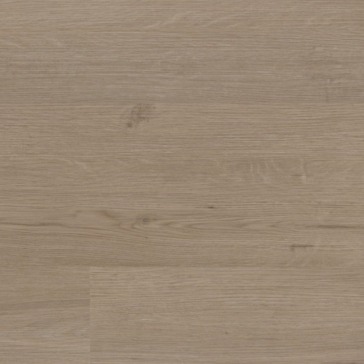 Venera Smoky Dryback