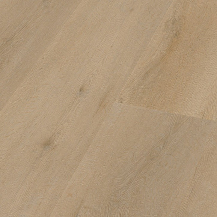 Vivero Beige Dryback