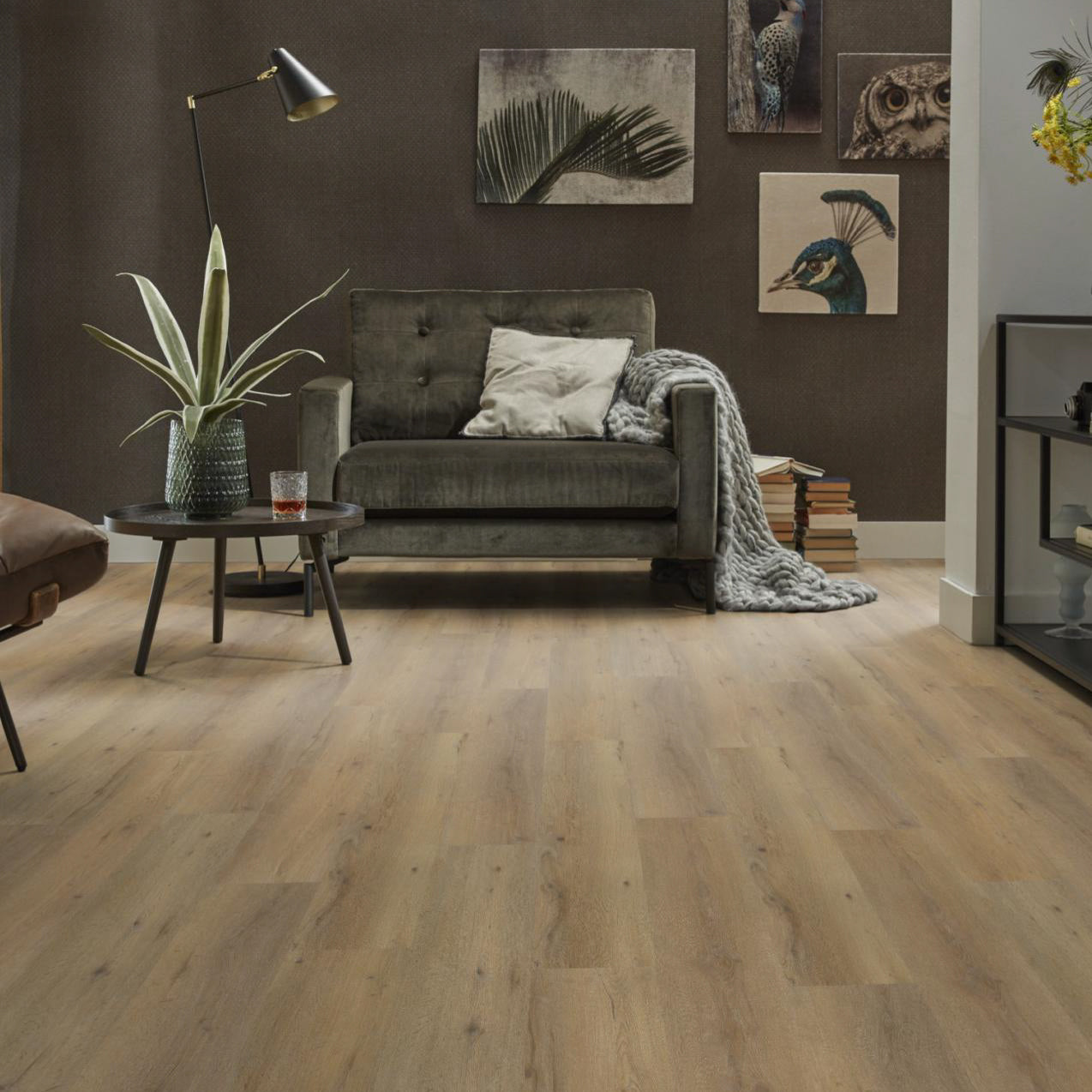 Vivero Dark Oak Dryback