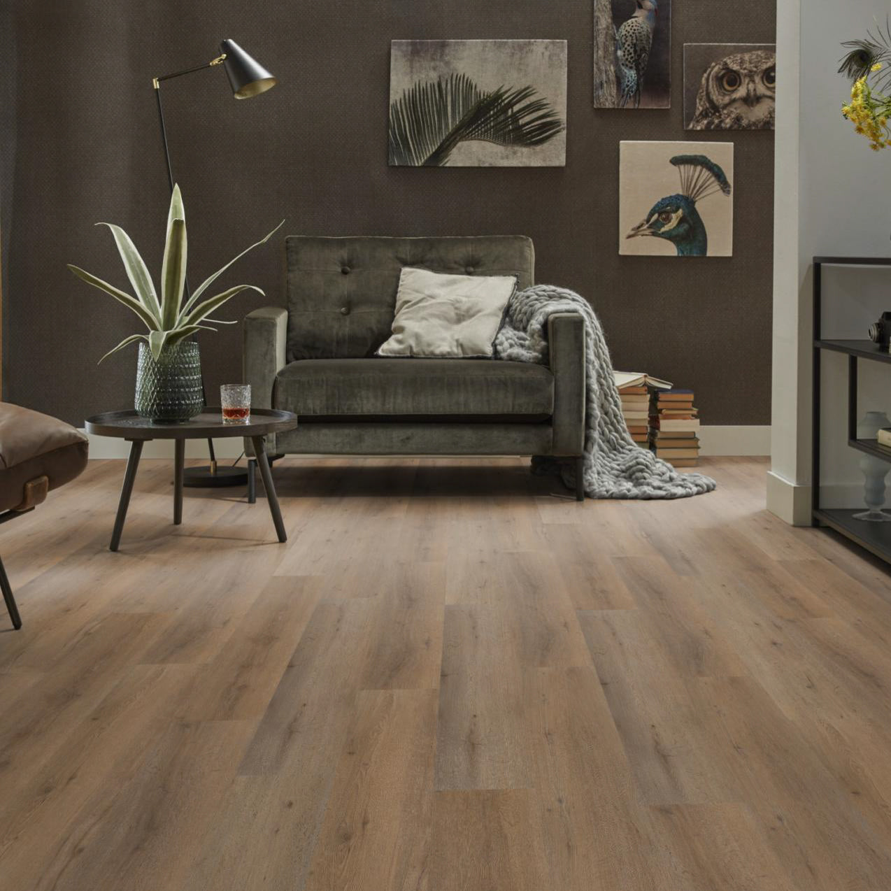 Vivero Smoky Dryback