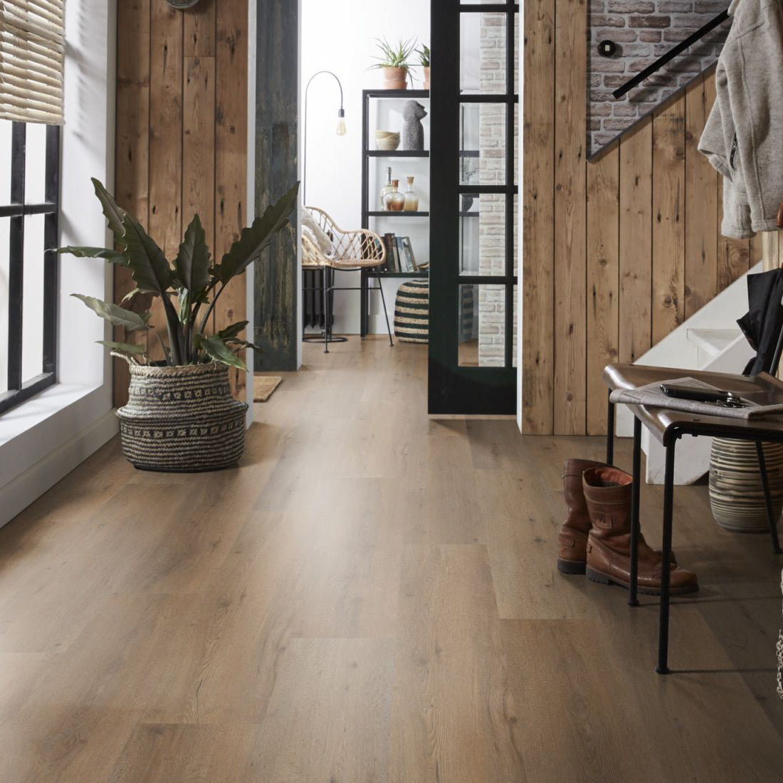 Vivero Smoky Dryback