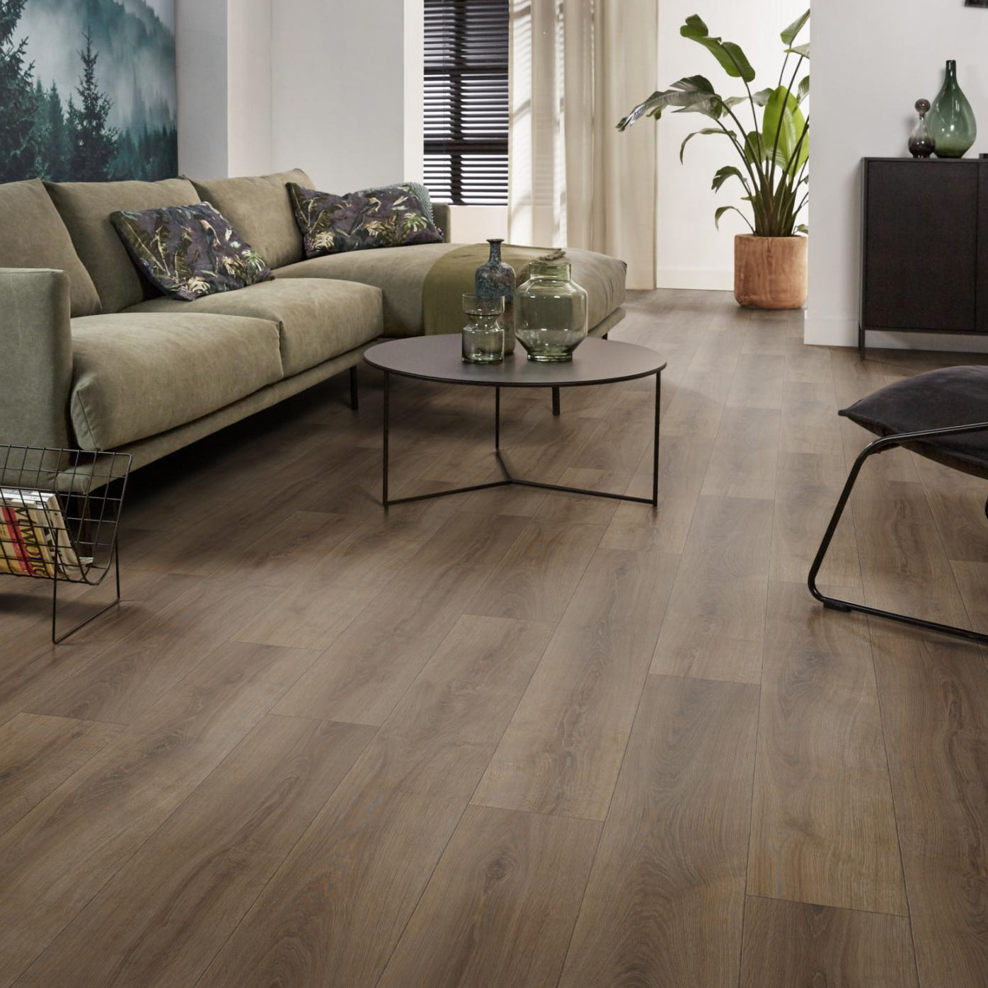 Supreme Cherbourg Eiken Bruin 5921