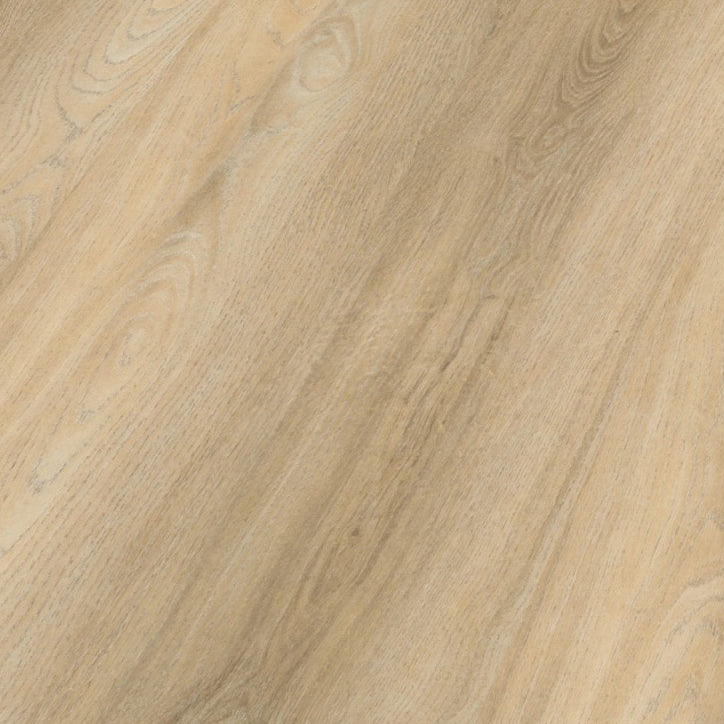 Avanto Beige Dryback