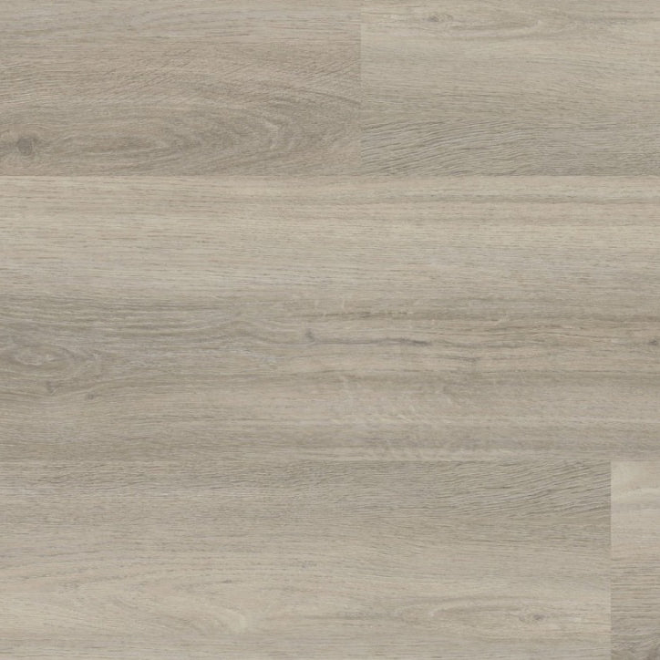 Avanto Light Grey Dryback