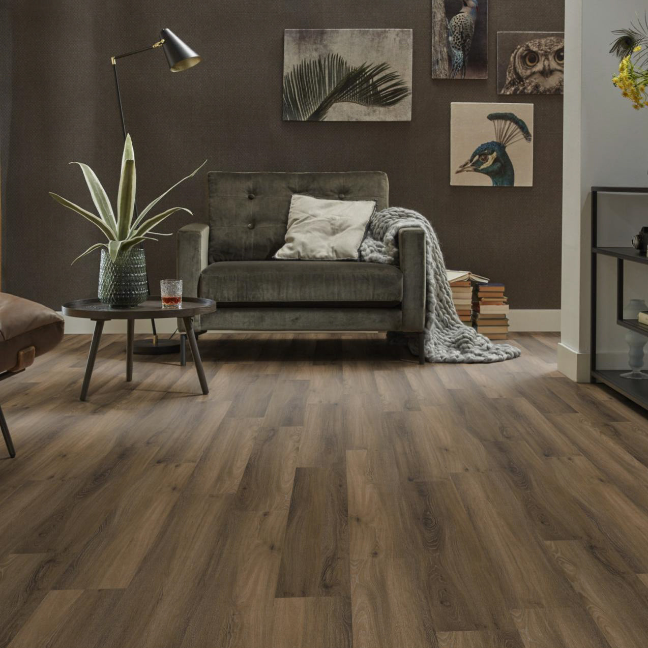 Avanto Warm Brown Dryback