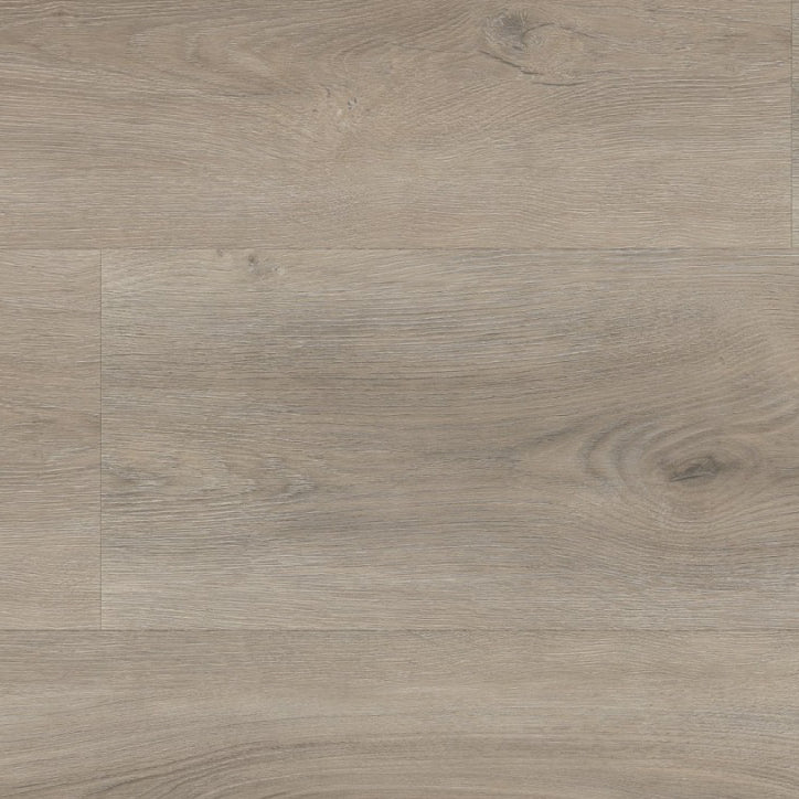 Robusto Light Grey Dryback