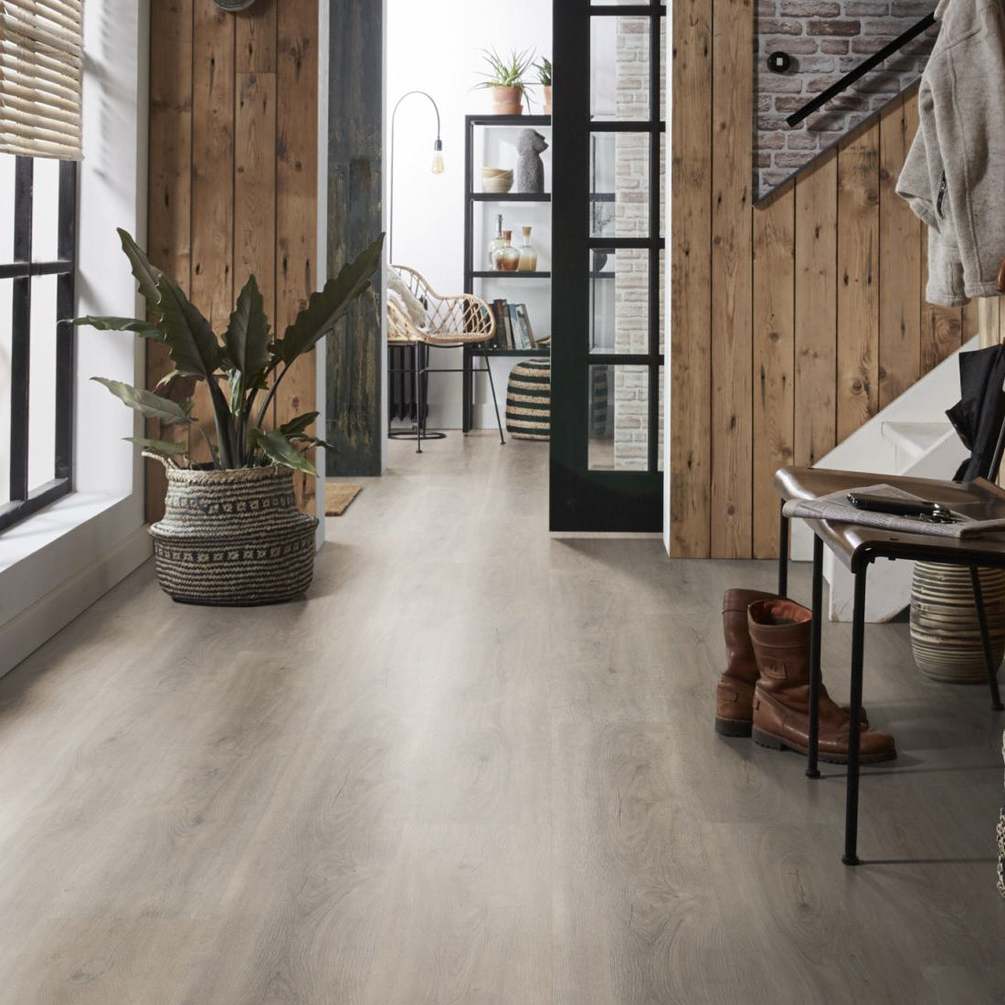 Robusto Light Grey Dryback