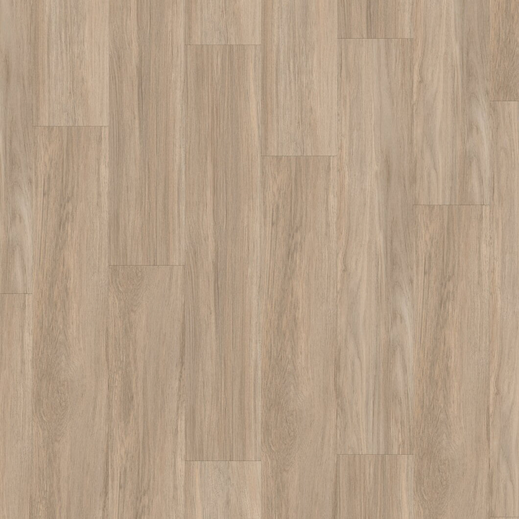 Virtuo 55 Rigid Acoustic Qaja Beige 1473