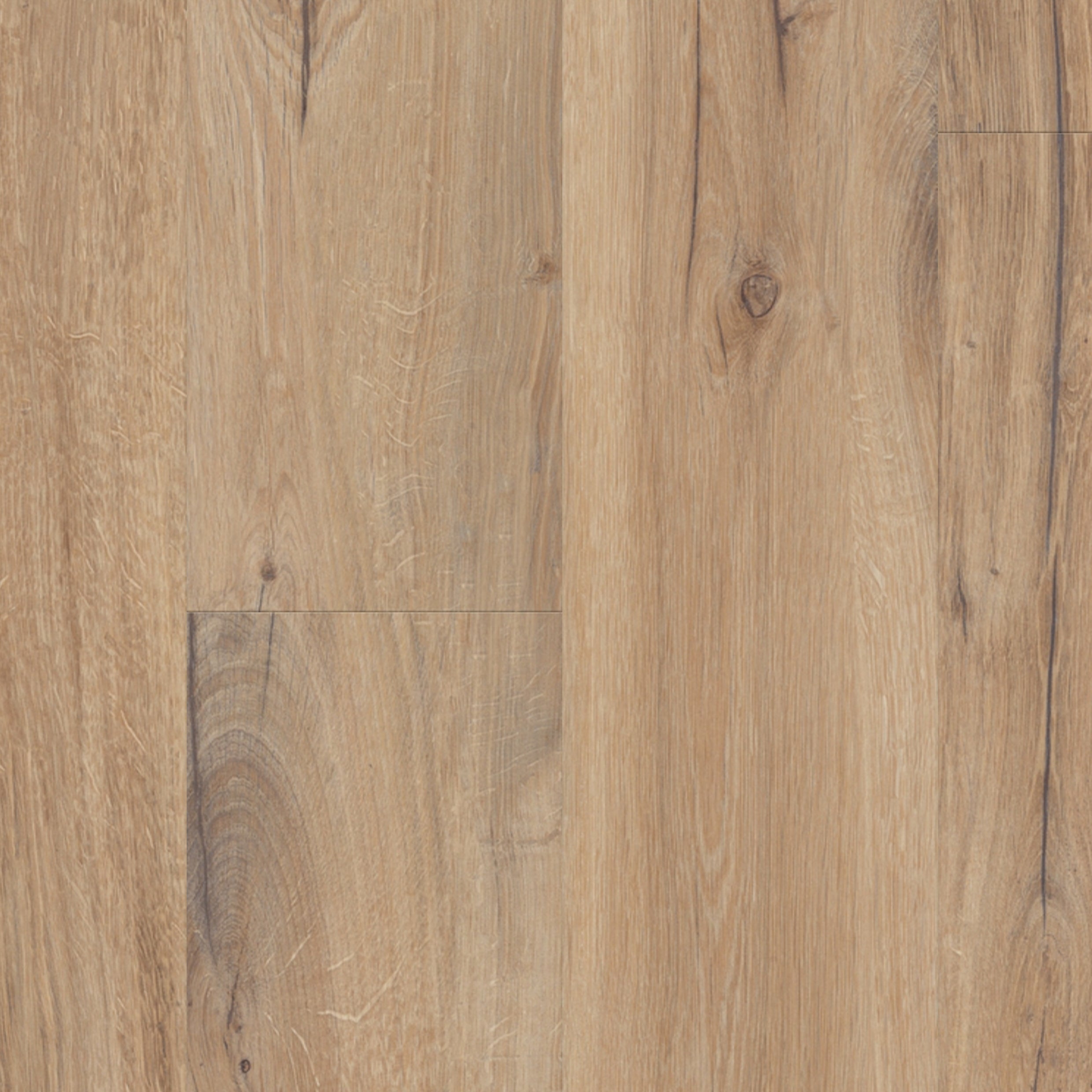 Virtuo 30 Rigid Acoustic Daintree Brown 1010