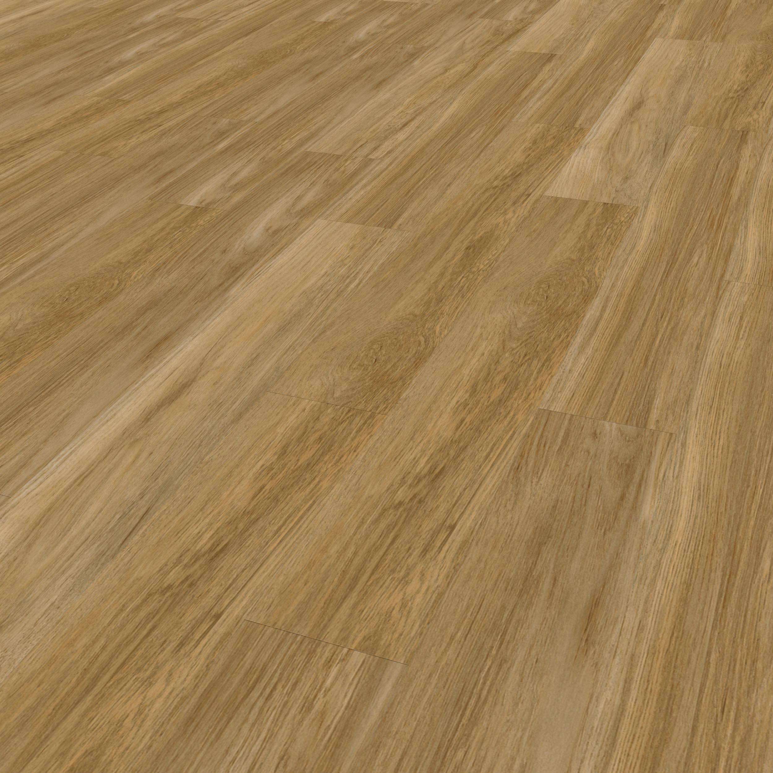 Virtuo 30 Dryback Qaja Honey 1474