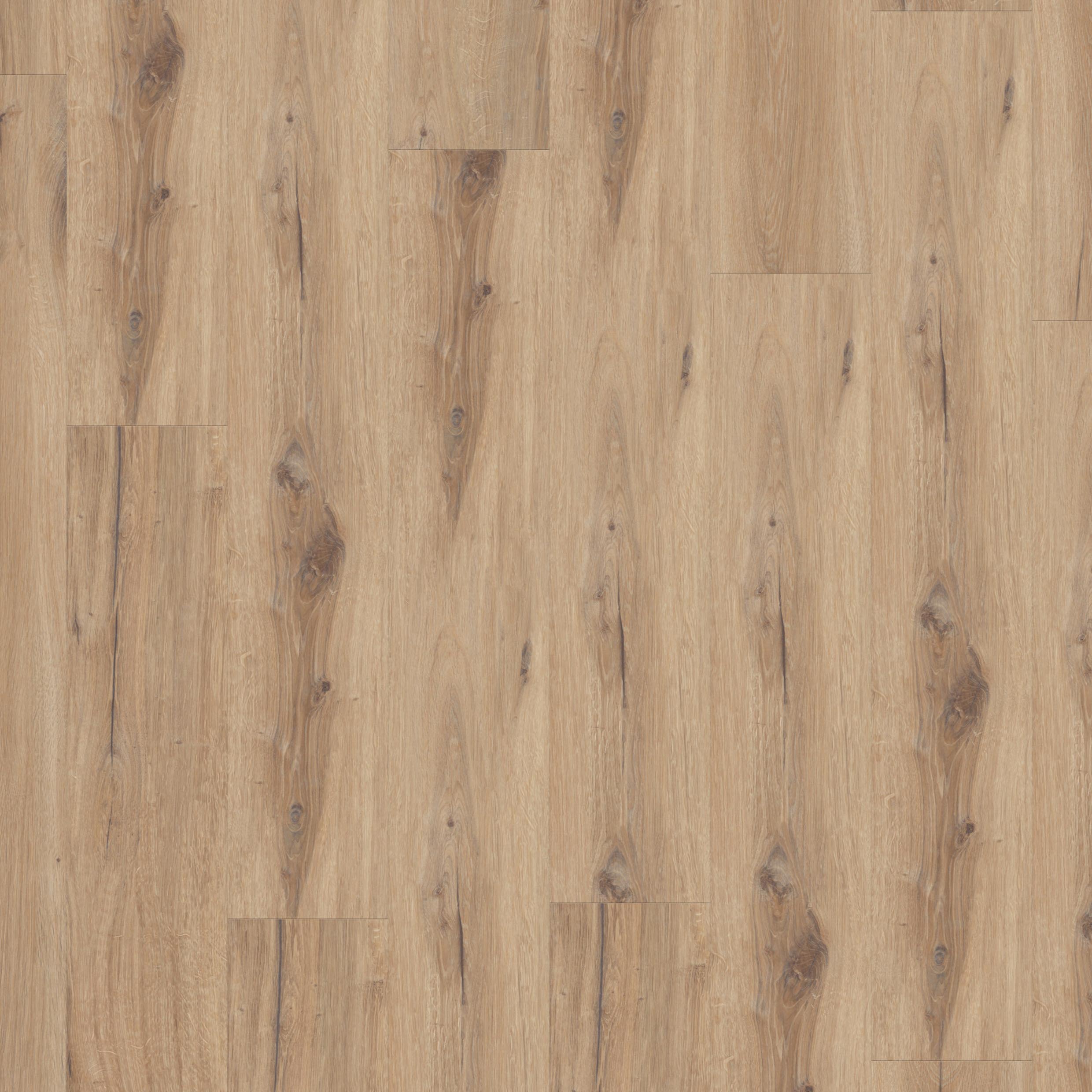 Virtuo 30 Dryback Daintree Honey 1455
